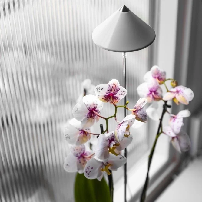 Sunlite 'Orchid' växtlampa, Vit 10W