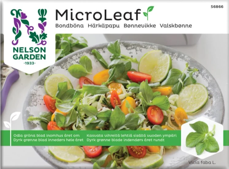 Micro Leaf 'Bondböna'