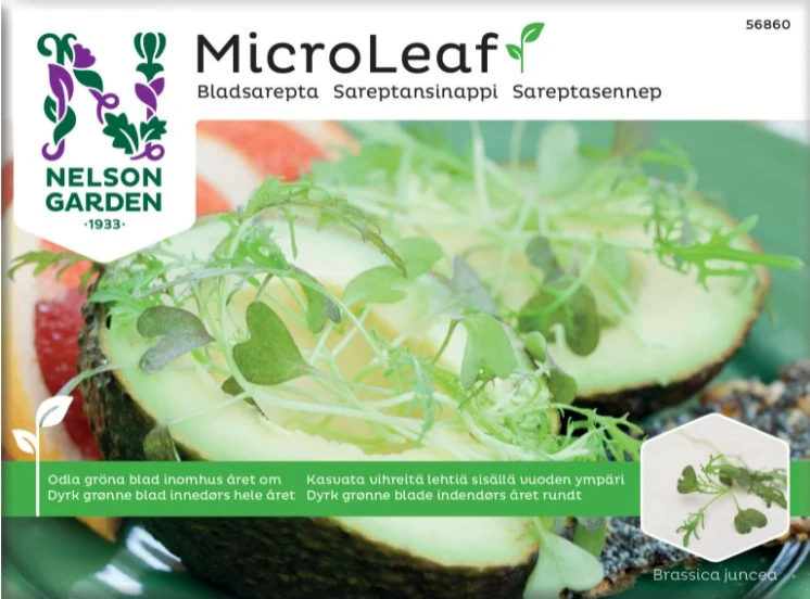 Micro Leaf 'Bladsarepta'