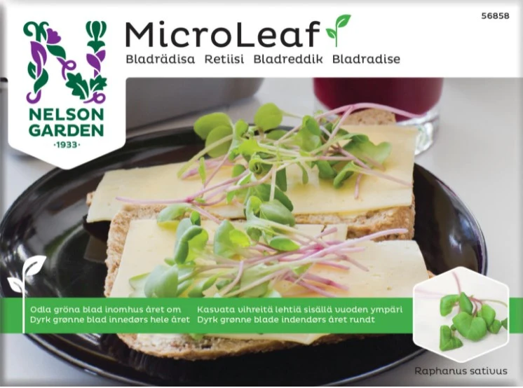 Micro Leaf 'Bladrädisa'