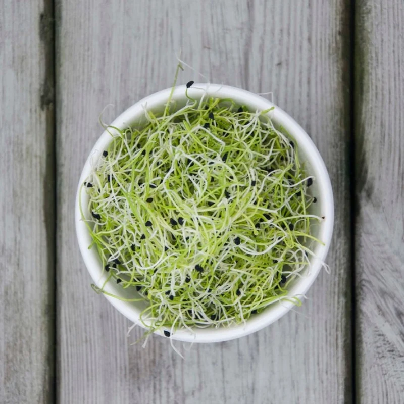 Sproutly: Purjolöksfrön 140g