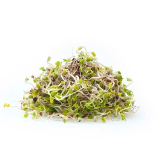 Sproutly: Grönkålsfrön 160g