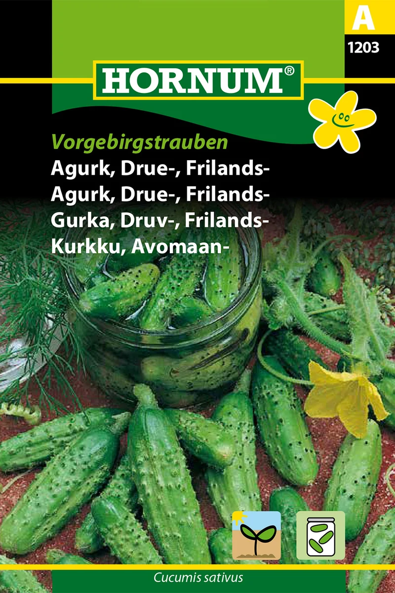 Frilandsgurka 'Vorgebirgstrauben'