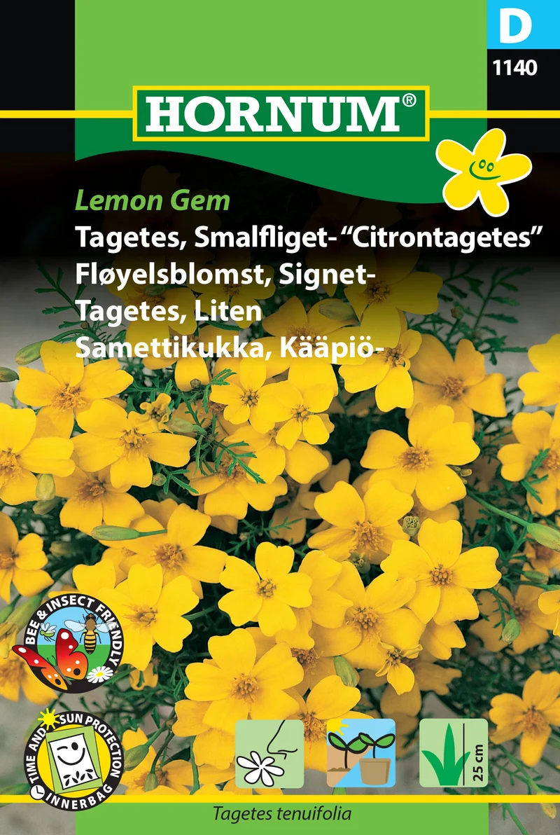 Tagetes 'Lemon Gem'