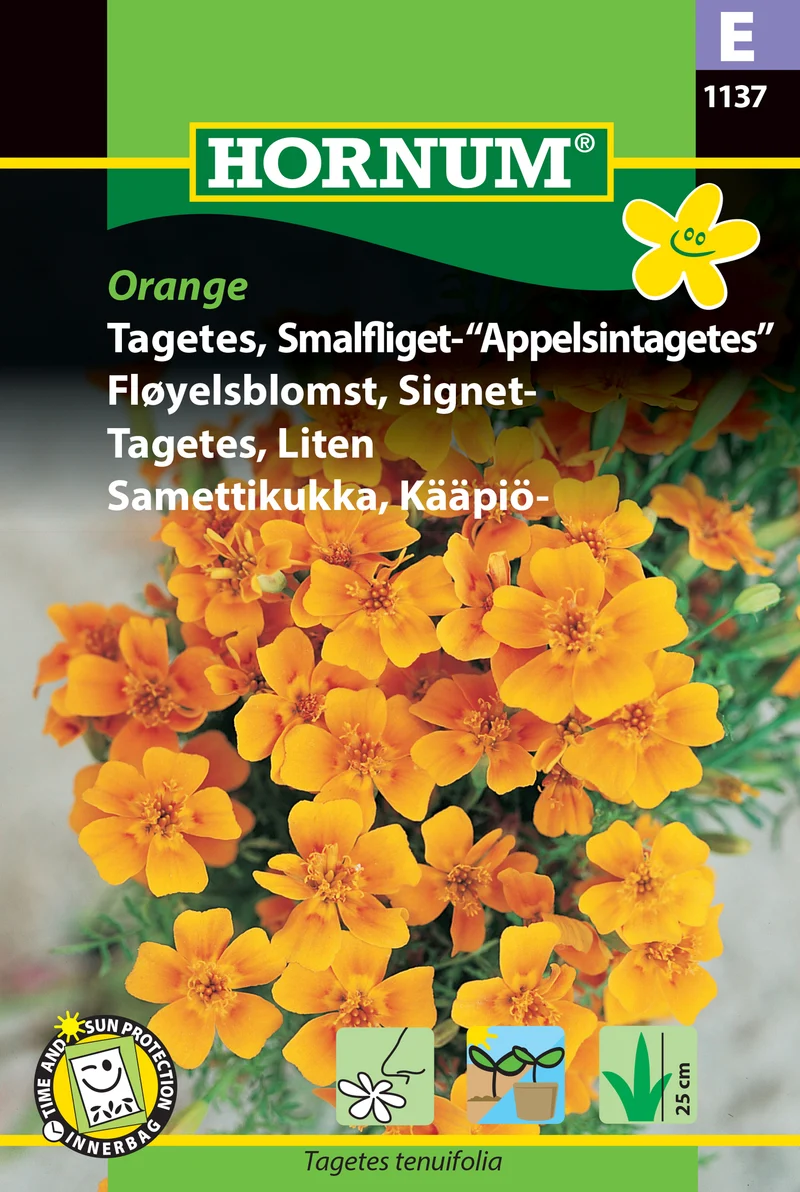 Tagetes, Liten 'Apelsintagetes'