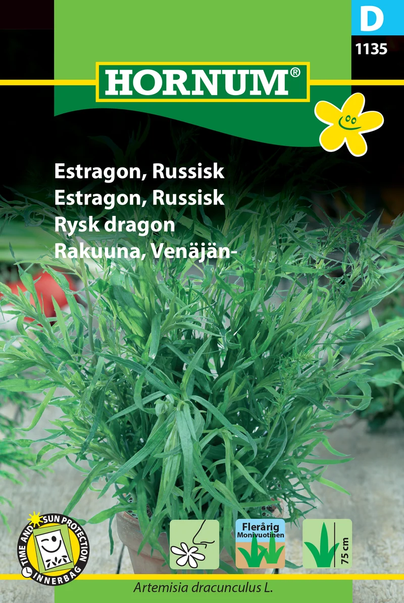 Rysk Dragon