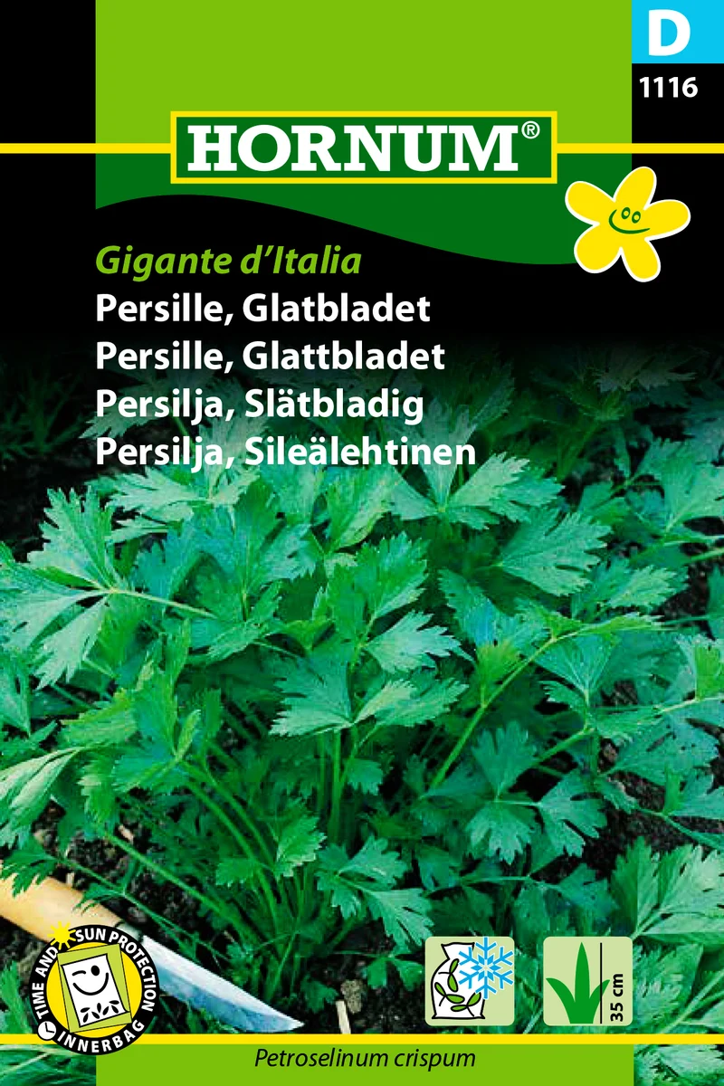Slätbladig Persilja 'Gigante d'Italia'