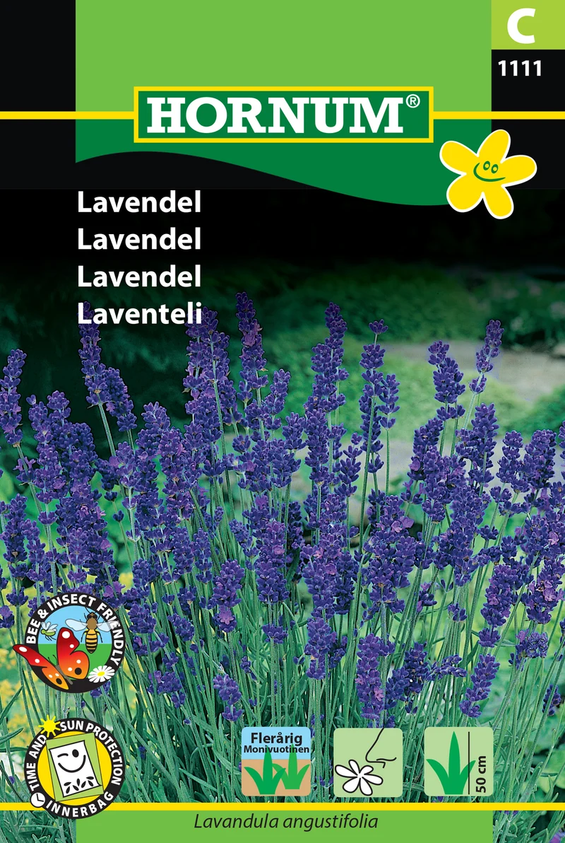 Lavendel