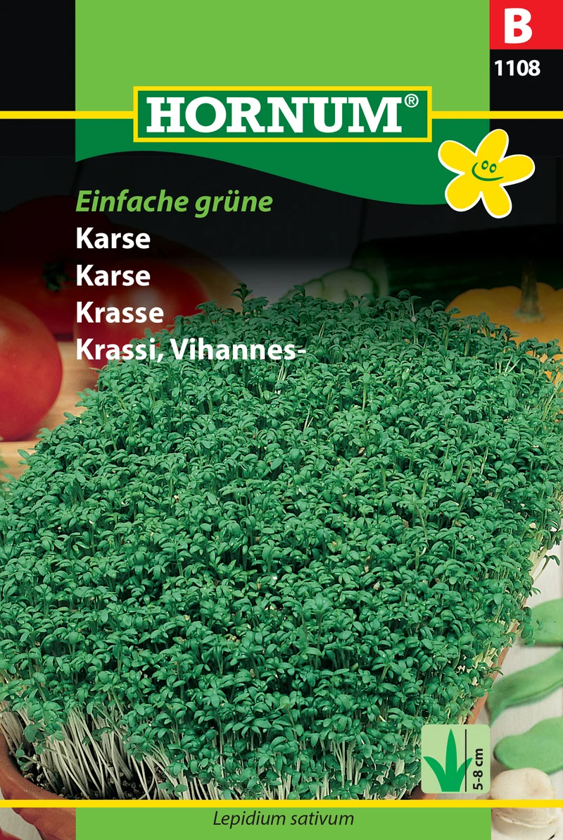 Krasse 'Einfache Grüne'
