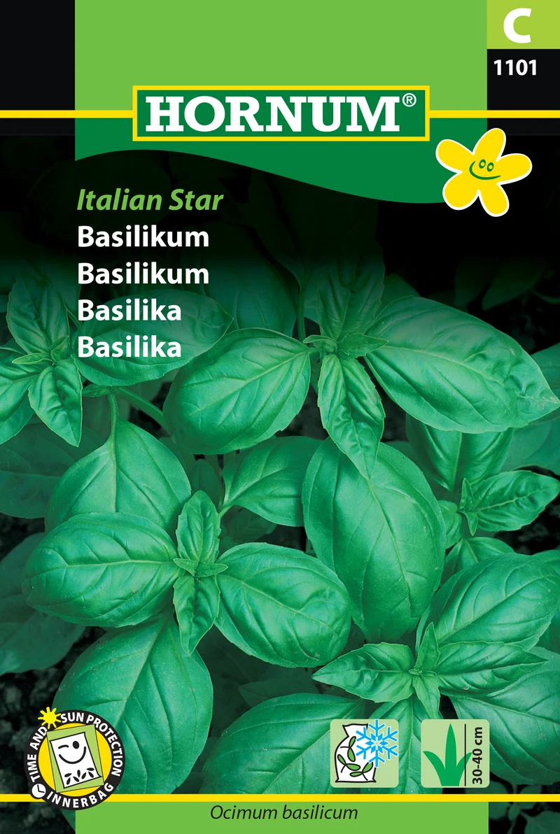 Basilika 'Italian Star'