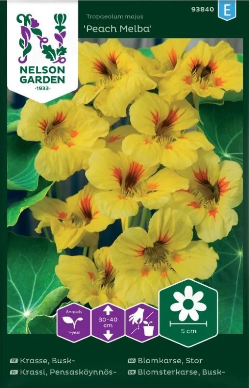 Buskkrasse 'Peach Melba'