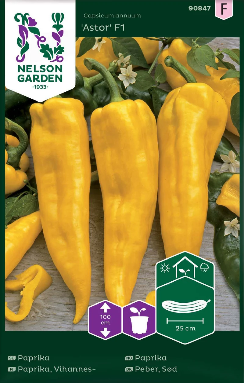 Paprika 'Astor' F1