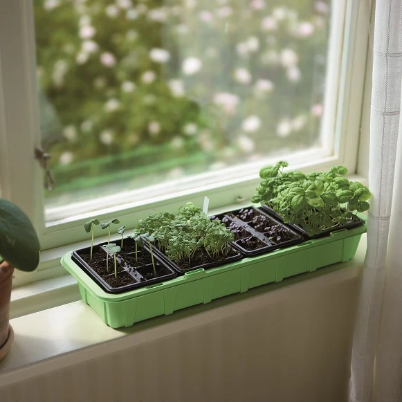 Miniväxthus 'Window' med 24st celler