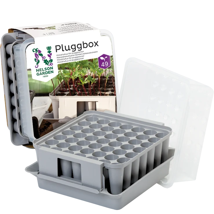 Miniväxthus Pluggbox