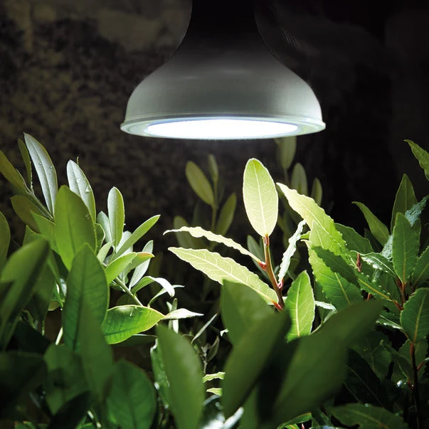Växtbelysning, LED lampa 18W