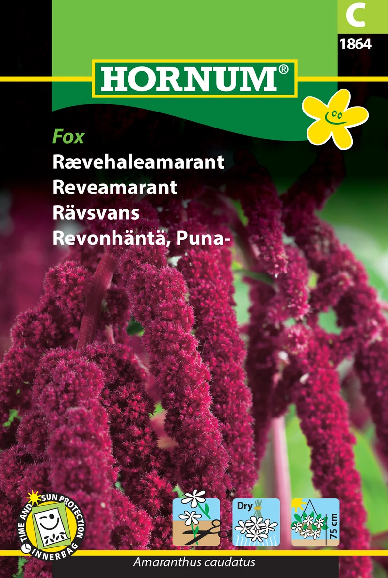Rävsvans Amarant 'Fox'