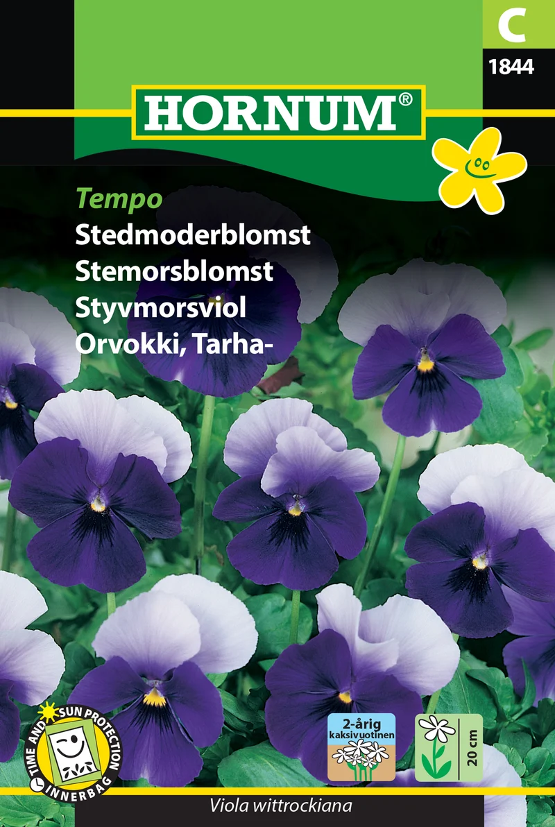 Styvmorsviol 'Tempo'