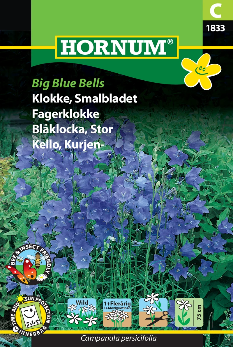 Blåklocka 'Big Blue Bells'