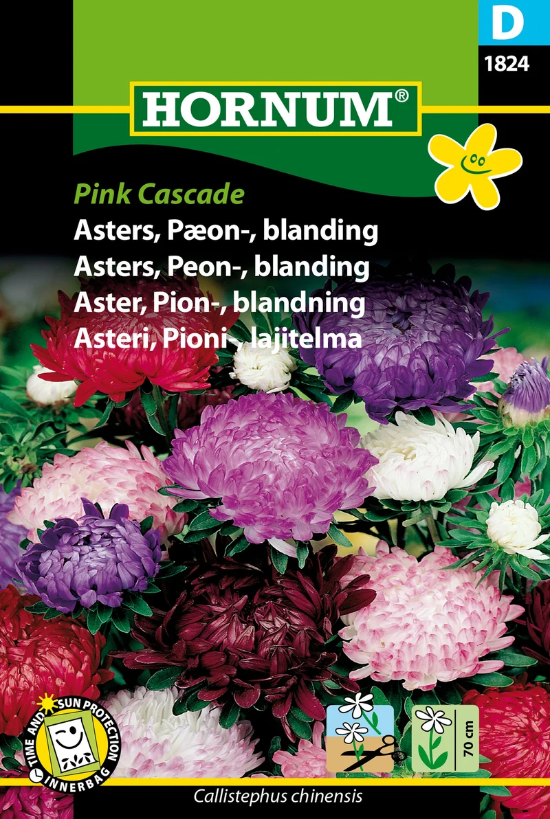 Pionaster 'Pink Cascade'