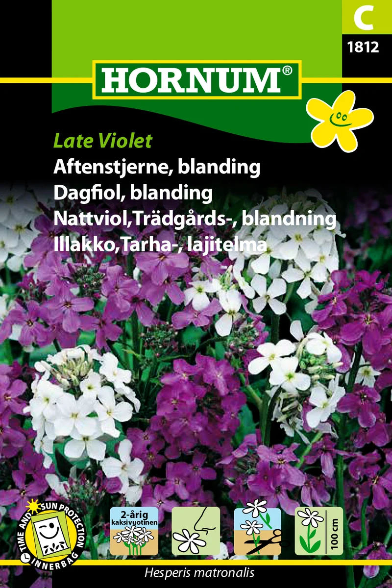 Trädgårdsnattviol Mix 'Late Violet'