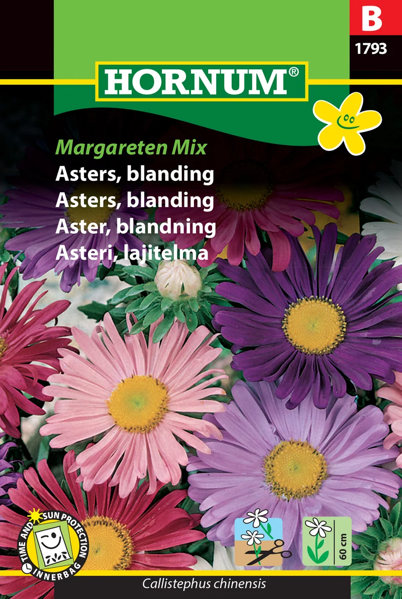 Aster Mix 'Margareten'