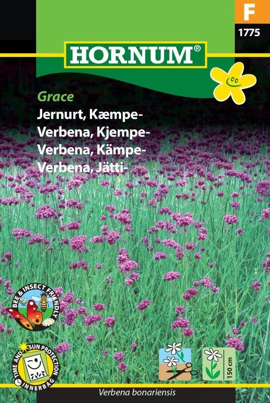 Jätteverbena 'Grace'