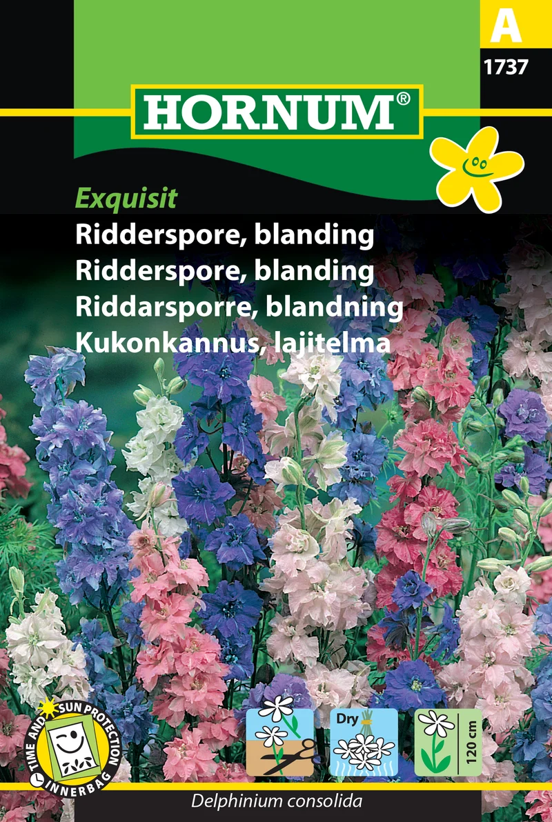Riddarsporre Mix 'Exquisit'