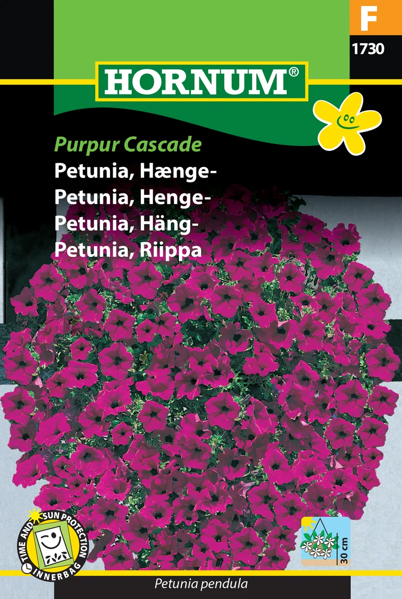 Hängpetunia 'Purpur Cascade'