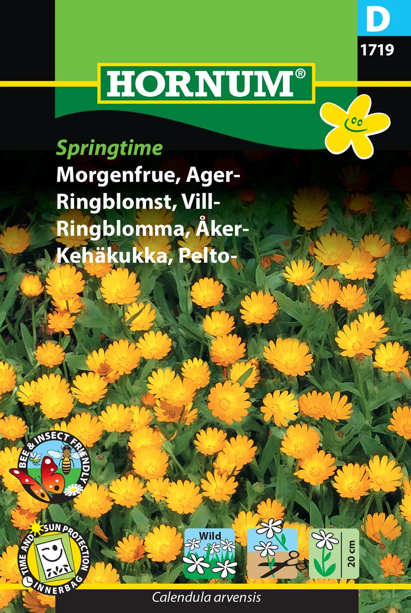 Åkerringblomma 'Springtime'