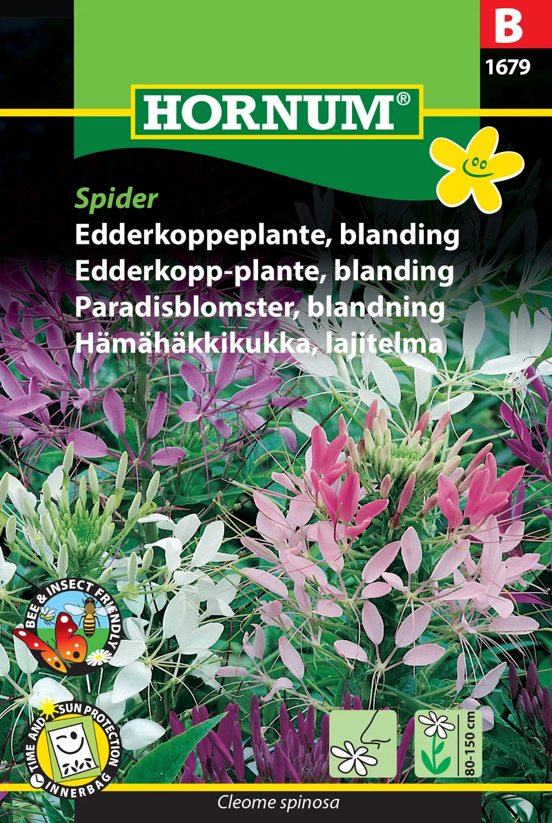 Paradisblomster Mix 'Spider'