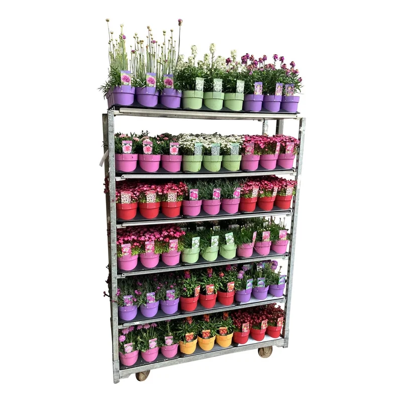 Vårblommande perenner 'Ton i ton' C1,5 (1,5 liters kruka)