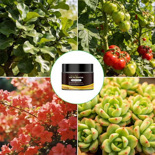 Soil Pro Activator – Jordförbättrare för Snabb Växtlighet
