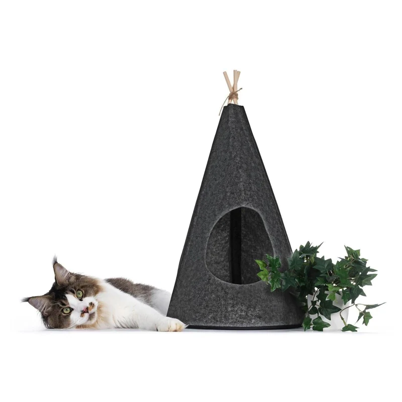 Katt tipitält av filt