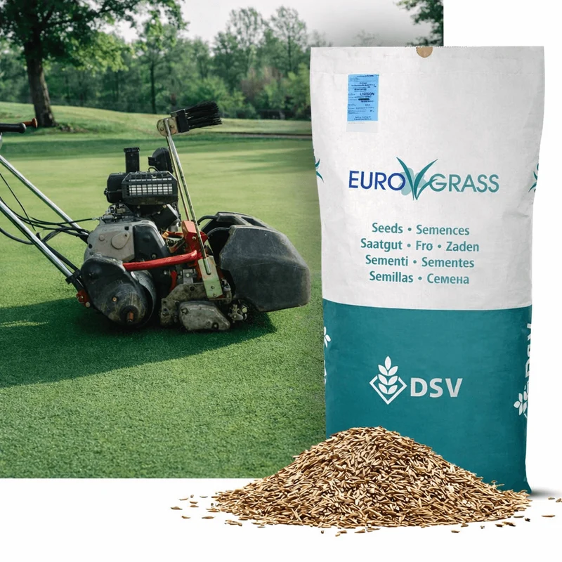 Rödsvingel-Turf, 10 kg