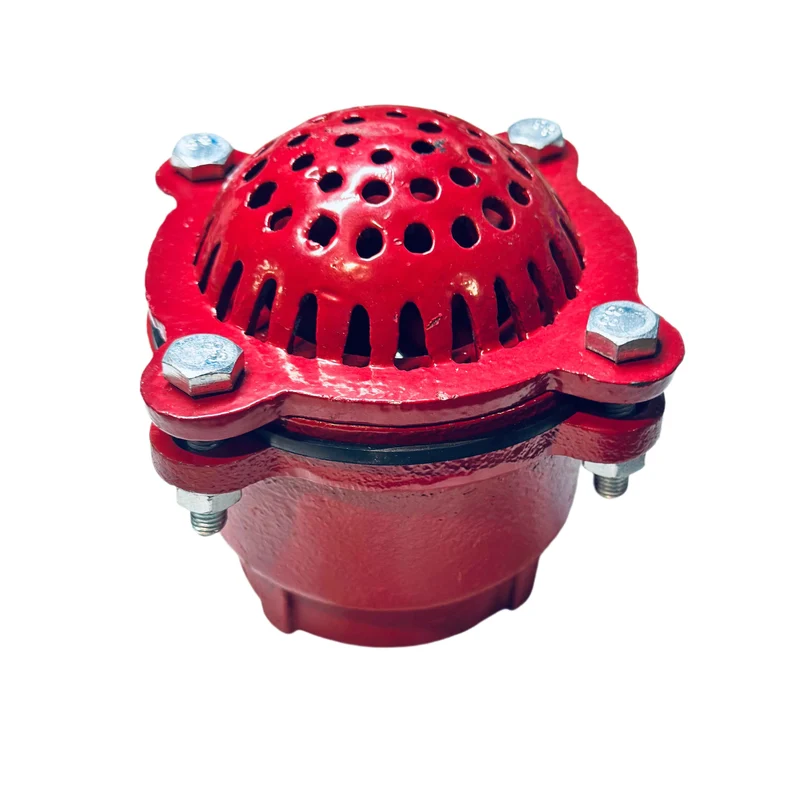 Foot Valve - 3"
