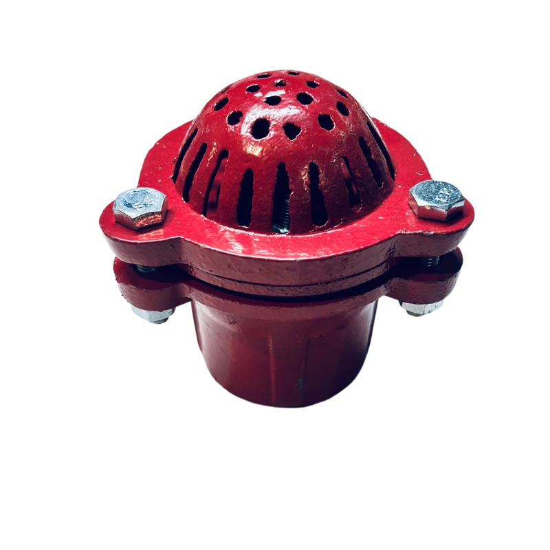 Foot Valve - 2"