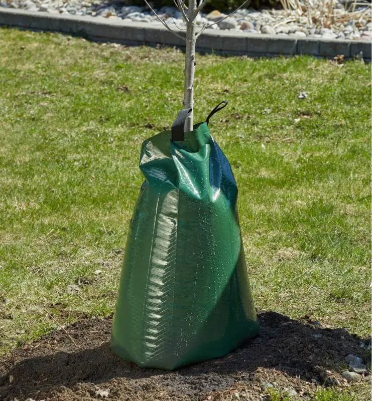 Vattningspåse för träd 75 liter - 400 g/m2