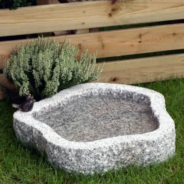 Fågelbad naturform, Ø50 cm