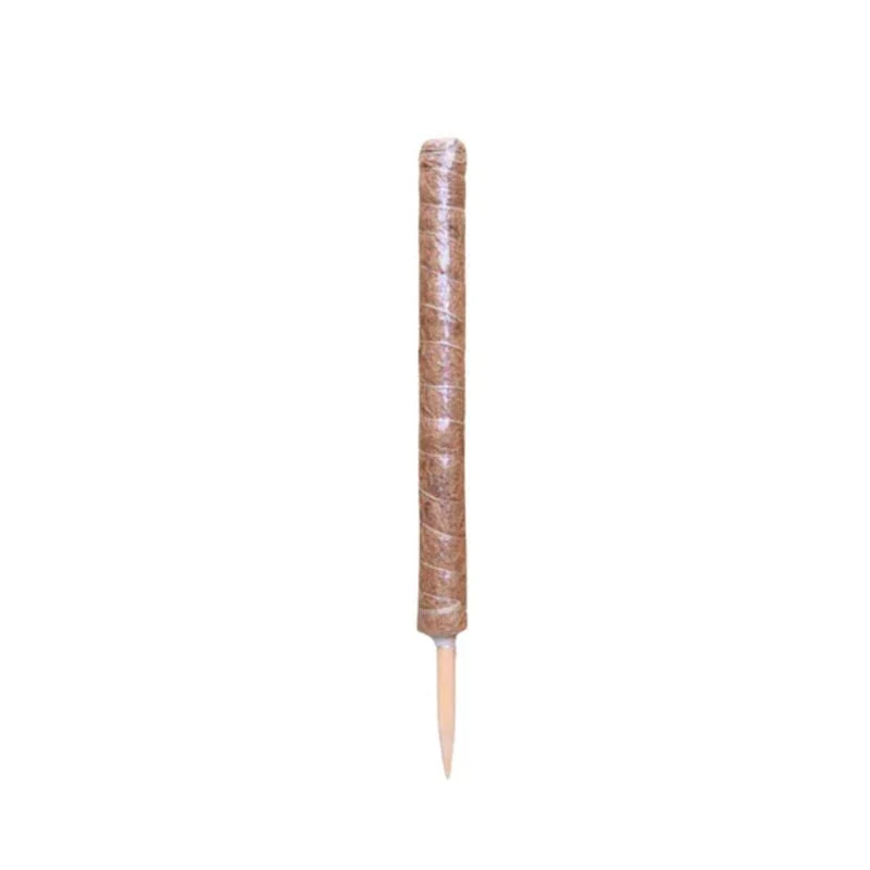 Kokos plantstöd H: 40 cm