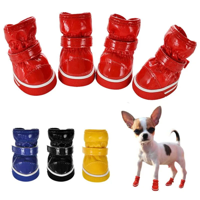 Moonboots för hundar – Vattentäta hundskor för vintern