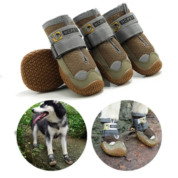 Andningsbara Hundskor för Sommaren – Skydda Tassarna