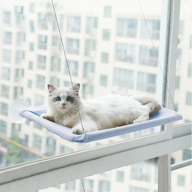 Kattfönstersängen