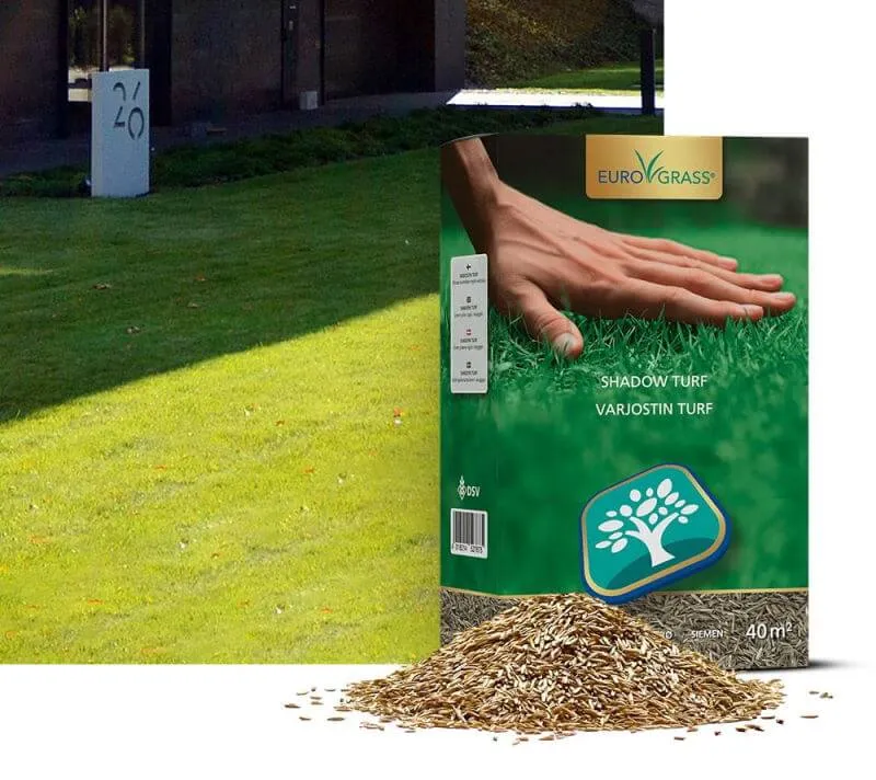 DSV Shadow Turf gräsfrö, 1 kg