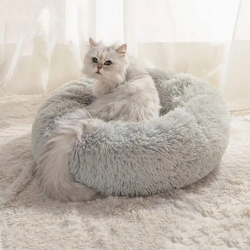Lugnande kattsäng